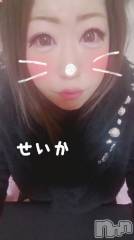 新潟デリヘル奥様特急 新潟店(オクサマトッキュウニイガタテン) せいか(32)の12月9日写メブログ「ありがとう★」