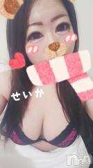 新潟デリヘル奥様特急 新潟店(オクサマトッキュウニイガタテン) せいか(32)の12月9日写メブログ「ありがとう★」