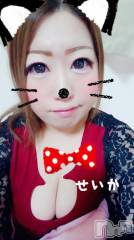 新潟デリヘル奥様特急 新潟店(オクサマトッキュウニイガタテン) せいか(32)の12月9日写メブログ「ありがとう★」