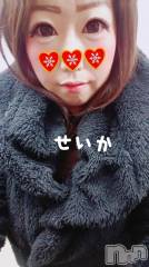 新潟デリヘル奥様特急 新潟店(オクサマトッキュウニイガタテン) せいか(32)の12月17日写メブログ「ありがとう★」