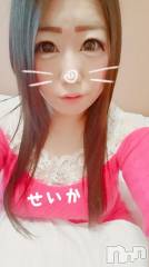 新潟デリヘル奥様特急 新潟店(オクサマトッキュウニイガタテン) せいか(32)の3月7日写メブログ「ありがとう☆」