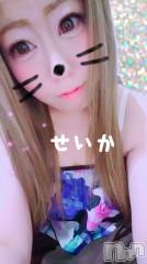 新潟デリヘル奥様特急 新潟店(オクサマトッキュウニイガタテン) せいか(32)の3月17日写メブログ「ありがとう☆」