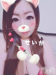 新潟デリヘル奥様特急 新潟店(オクサマトッキュウニイガタテン) せいか(32)の5月27日写メブログ「戻りました★」