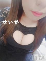 新潟デリヘル奥様特急 新潟店(オクサマトッキュウニイガタテン) せいか(32)の8月20日写メブログ「ありがとう☆」