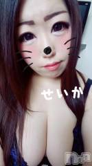 新潟デリヘル奥様特急 新潟店(オクサマトッキュウニイガタテン) せいか(32)の10月27日写メブログ「またね☆」