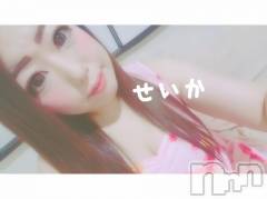 新潟デリヘル奥様特急 新潟店(オクサマトッキュウニイガタテン) せいか(32)の11月19日写メブログ「ありがとう☆」