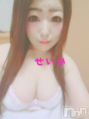 新潟デリヘル奥様特急 新潟店(オクサマトッキュウニイガタテン) せいか(32)の11月23日写メブログ「出勤☆」