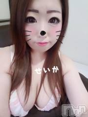 新潟デリヘル奥様特急 新潟店(オクサマトッキュウニイガタテン) せいか(32)の2月15日写メブログ「ありがとう☆」