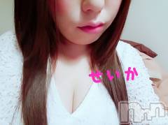 新潟デリヘル奥様特急 新潟店(オクサマトッキュウニイガタテン) せいか(32)の4月10日写メブログ「ありがとう☆」