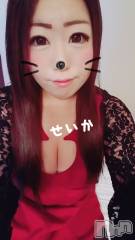 新潟デリヘル奥様特急 新潟店(オクサマトッキュウニイガタテン) せいか(32)の4月11日写メブログ「ありがとう☆」