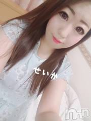 新潟デリヘル奥様特急 新潟店(オクサマトッキュウニイガタテン) せいか(32)の5月4日写メブログ「出勤☆」