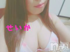 新潟デリヘル奥様特急 新潟店(オクサマトッキュウニイガタテン) せいか(32)の7月5日写メブログ「ありがとう☆」