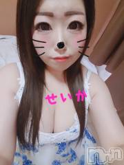 新潟デリヘル奥様特急 新潟店(オクサマトッキュウニイガタテン) せいか(32)の8月25日写メブログ「出勤☆」