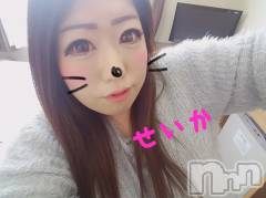 新潟デリヘル奥様特急 新潟店(オクサマトッキュウニイガタテン) せいか(32)の8月30日写メブログ「ありがとう☆」