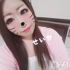 新潟デリヘル奥様特急 新潟店(オクサマトッキュウニイガタテン) せいか(32)の9月27日写メブログ「ありがとう☆」