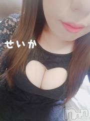 新潟デリヘル奥様特急 新潟店(オクサマトッキュウニイガタテン) せいか(32)の11月9日写メブログ「ありがとう☆」