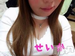 新潟デリヘル奥様特急 新潟店(オクサマトッキュウニイガタテン) せいか(32)の1月15日写メブログ「ありがとう☆」