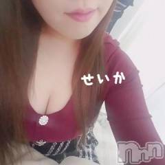 新潟デリヘル奥様特急 新潟店(オクサマトッキュウニイガタテン) せいか(32)の2月29日写メブログ「ありがとう☆」