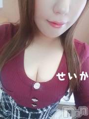 新潟デリヘル奥様特急 新潟店(オクサマトッキュウニイガタテン) せいか(32)の1月29日写メブログ「出勤☆」