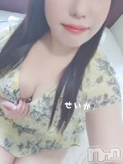 新潟デリヘル奥様特急 新潟店(オクサマトッキュウニイガタテン) せいか(32)の7月15日写メブログ「ありがとう☆」