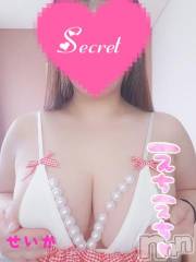 新潟デリヘル奥様特急 新潟店(オクサマトッキュウニイガタテン) せいか(32)の7月20日写メブログ「[お題]from:つるつる王子さん」