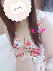 新潟デリヘル奥様特急 新潟店(オクサマトッキュウニイガタテン) せいか(32)の7月20日写メブログ「夜も☆」