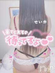 新潟デリヘル奥様特急 新潟店(オクサマトッキュウニイガタテン) せいか(32)の12月6日写メブログ「おはよう☆」