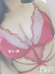 新潟デリヘル奥様特急 新潟店(オクサマトッキュウニイガタテン) せいか(32)の12月9日写メブログ「出勤☆」