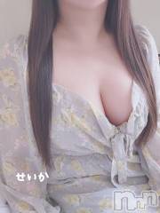 新潟デリヘル奥様特急 新潟店(オクサマトッキュウニイガタテン) せいか(32)の4月6日写メブログ「向かうよ☆」