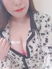 新潟デリヘル奥様特急 新潟店(オクサマトッキュウニイガタテン) せいか(32)の3月3日写メブログ「出勤☆」