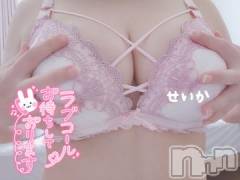 新潟デリヘル奥様特急 新潟店(オクサマトッキュウニイガタテン) せいか(32)の9月24日写メブログ「出勤予定☆」