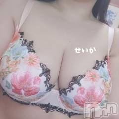 新潟デリヘル奥様特急 新潟店(オクサマトッキュウニイガタテン) せいか(32)の10月14日写メブログ「おはよう☆」