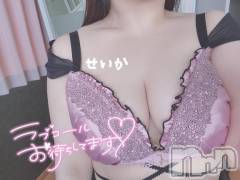 新潟デリヘル奥様特急 新潟店(オクサマトッキュウニイガタテン) せいか(32)の1月29日写メブログ「おはよう☆」
