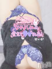 新潟デリヘル奥様特急 新潟店(オクサマトッキュウニイガタテン) せいか(32)の2月2日写メブログ「ありがとう☆」