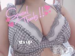 新潟デリヘル奥様特急 新潟店(オクサマトッキュウニイガタテン) せいか(32)の2月2日写メブログ「ありがとう☆」