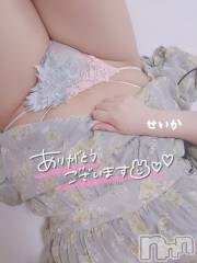 新潟デリヘル奥様特急 新潟店(オクサマトッキュウニイガタテン) せいか(32)の4月23日写メブログ「ありがとう☆」