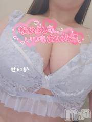 新潟デリヘル奥様特急 新潟店(オクサマトッキュウニイガタテン) せいか(32)の10月6日写メブログ「ありがとう☆」