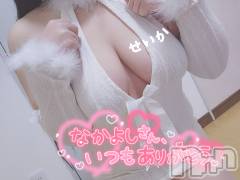 新潟デリヘル奥様特急 新潟店(オクサマトッキュウニイガタテン) せいか(32)の2月23日写メブログ「ありがとう☆」