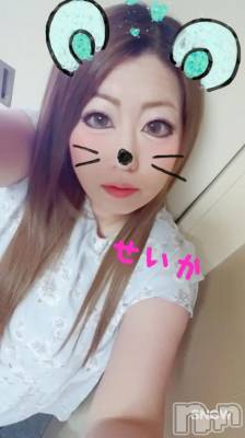 新潟デリヘル 奥様特急 新潟店(オクサマトッキュウニイガタテン) せいか(32)の5月19日写メブログ「おはよー✩」
