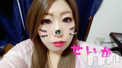 新潟デリヘル 奥様特急 新潟店(オクサマトッキュウニイガタテン) せいか(32)の5月21日写メブログ「ありがとう★」