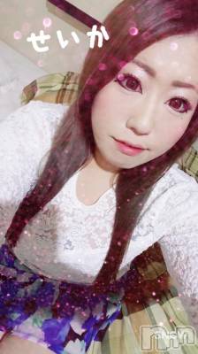 新潟デリヘル 奥様特急 新潟店(オクサマトッキュウニイガタテン) せいか(32)の5月22日写メブログ「ありがとう★」