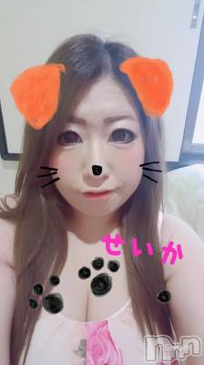 新潟デリヘル 奥様特急 新潟店(オクサマトッキュウニイガタテン) せいか(32)の5月29日写メブログ「あと３日★」