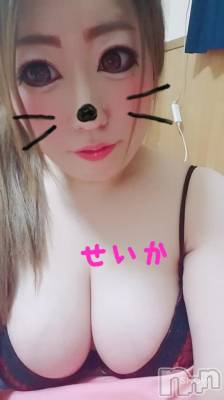 新潟デリヘル 奥様特急 新潟店(オクサマトッキュウニイガタテン) せいか(32)の8月9日写メブログ「おはよう★」