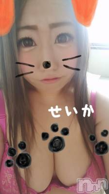 新潟デリヘル 奥様特急 新潟店(オクサマトッキュウニイガタテン) せいか(32)の8月12日写メブログ「ありがとう★」