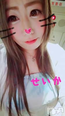 新潟デリヘル 奥様特急 新潟店(オクサマトッキュウニイガタテン) せいか(32)の8月12日写メブログ「ありがとう★」