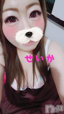 新潟デリヘル 奥様特急 新潟店(オクサマトッキュウニイガタテン) せいか(32)の8月14日写メブログ「出勤★」