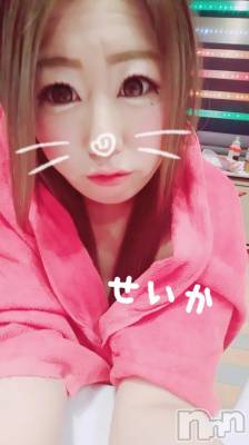 新潟デリヘル 奥様特急 新潟店(オクサマトッキュウニイガタテン) せいか(32)の8月14日写メブログ「ありがとう★」