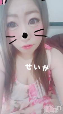 新潟デリヘル 奥様特急 新潟店(オクサマトッキュウニイガタテン) せいか(32)の8月15日写メブログ「ありがとう★」