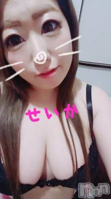 新潟デリヘル 奥様特急 新潟店(オクサマトッキュウニイガタテン) せいか(32)の8月17日写メブログ「出勤★」