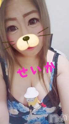 新潟デリヘル 奥様特急 新潟店(オクサマトッキュウニイガタテン) せいか(32)の8月22日写メブログ「ありがとう★」